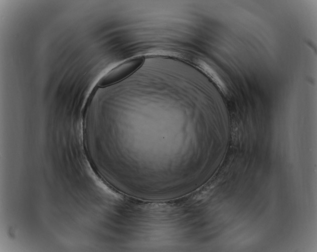 X0000091501092200709131845