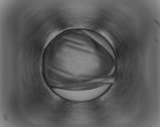 X0000091501093200709131845