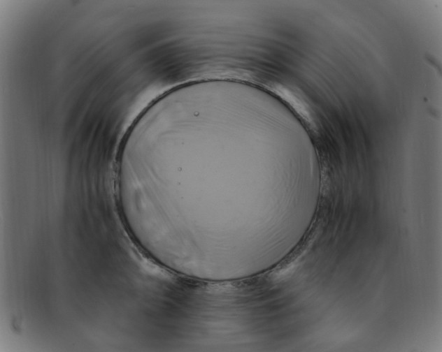 X0000091501094200709131845