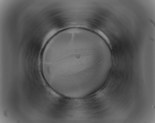 X0000091501096200709131845