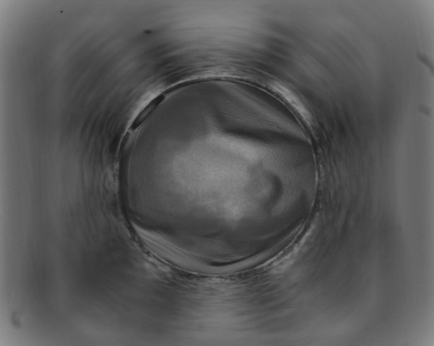 X0000091501097200709131845