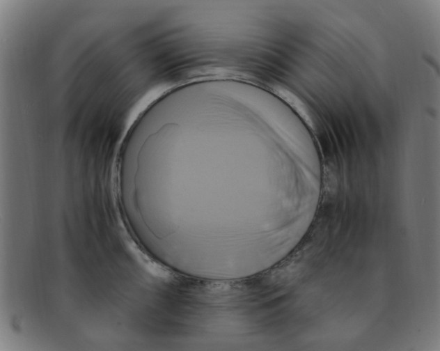 X0000091501098200709131845