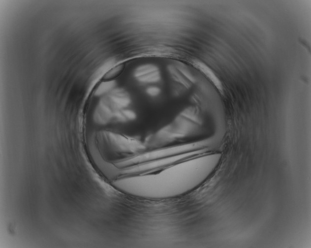 X0000091501099200709131845