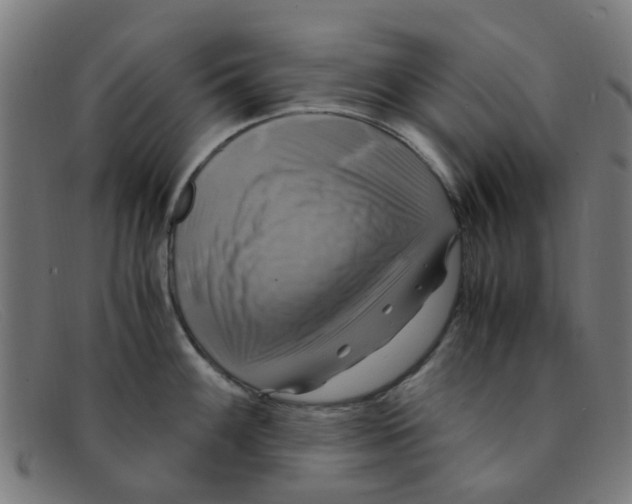 X0000091501100200709131845