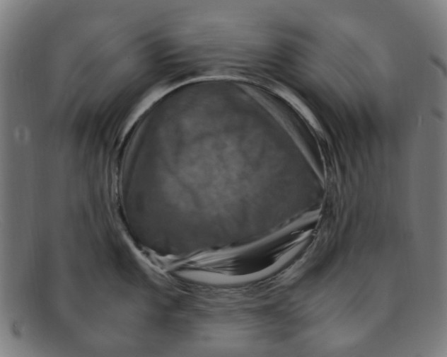 X0000091501101200709131845