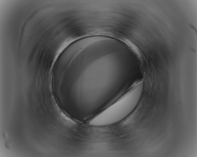 X0000091501102200709131845