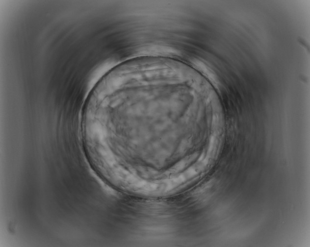 X0000091501103200709131845