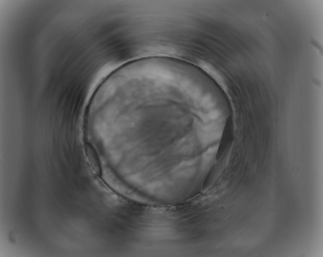 X0000091501104200709131845