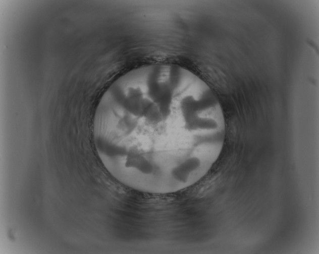 X0000091501105200709131845