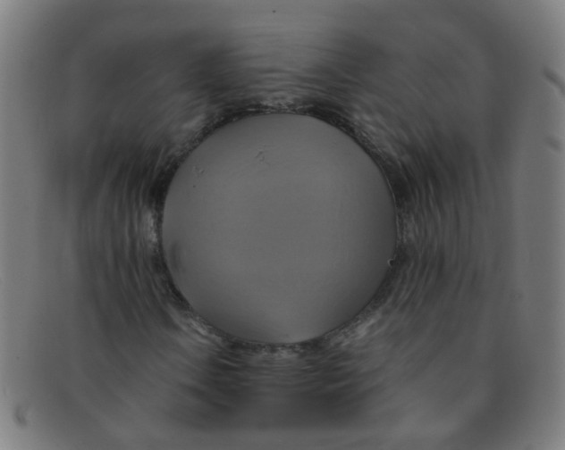 X0000091501106200709131845