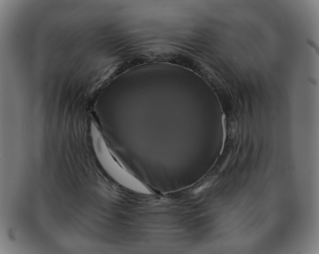 X0000091501108200709131845