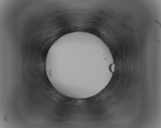 X0000091501109200709131845