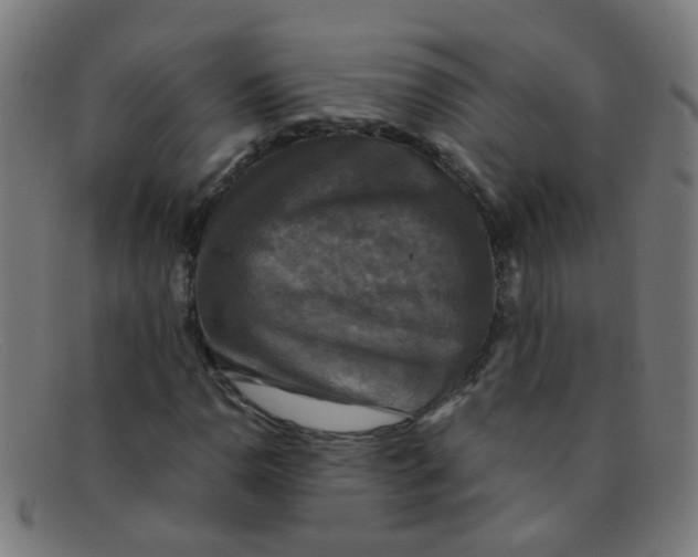 X0000091501110200709131845