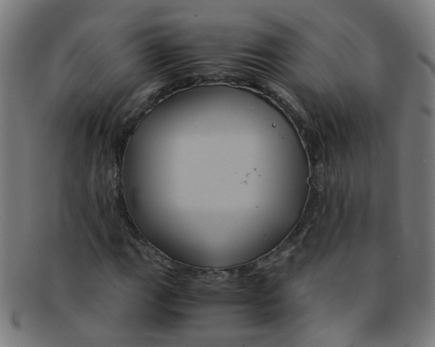 X0000091501111200709131845