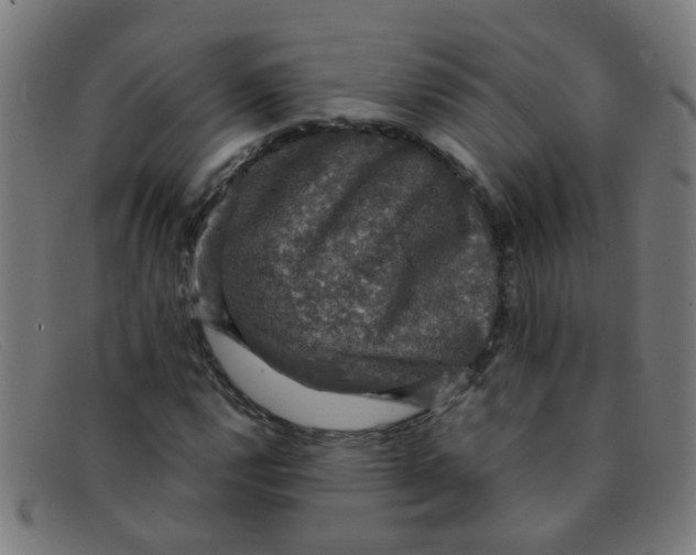 X0000091501112200709131845