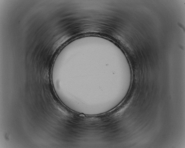 X0000091501113200709131845