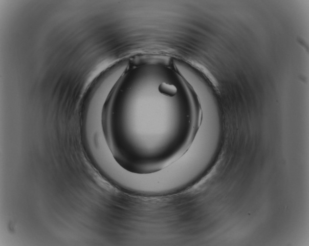 X0000091501114200709131845