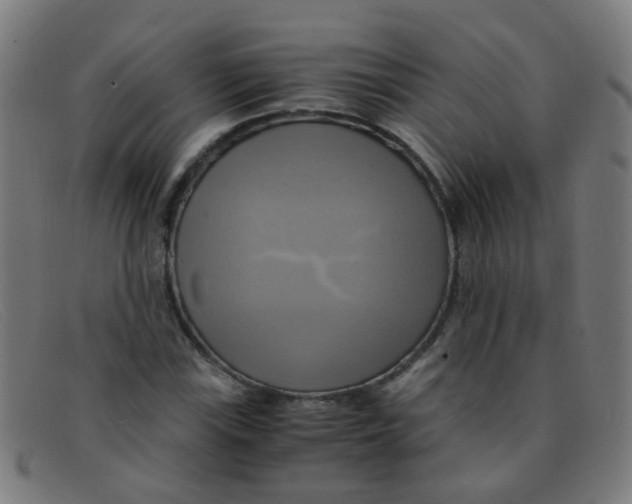 X0000091501115200709131845