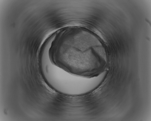 X0000091501116200709131845