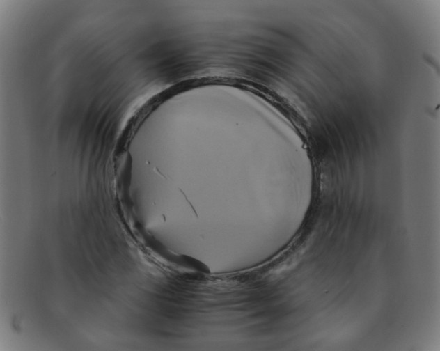 X0000091501117200709131845