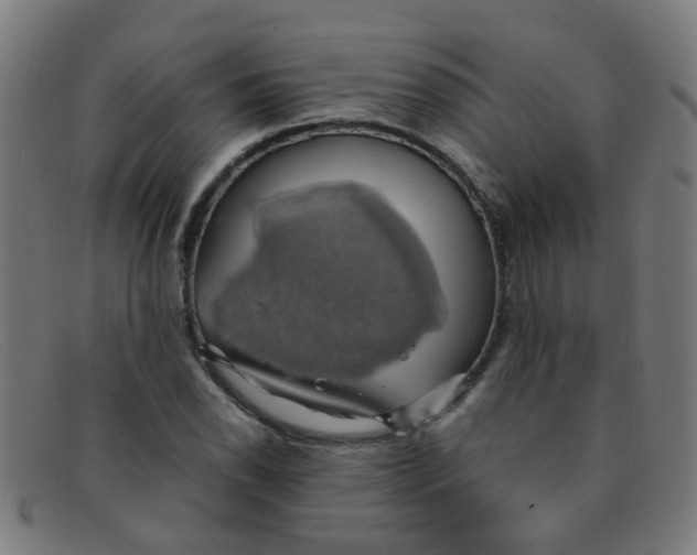 X0000091501118200709131845