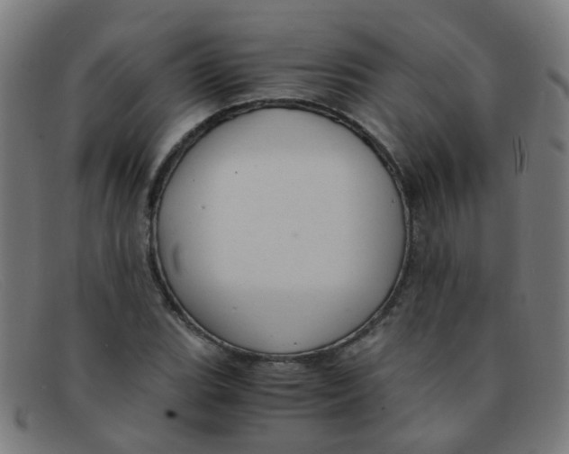 X0000091501119200709131845