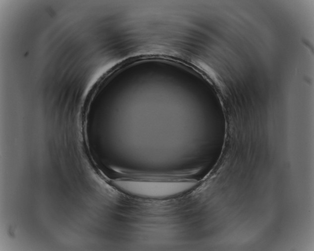 X0000091501120200709131845