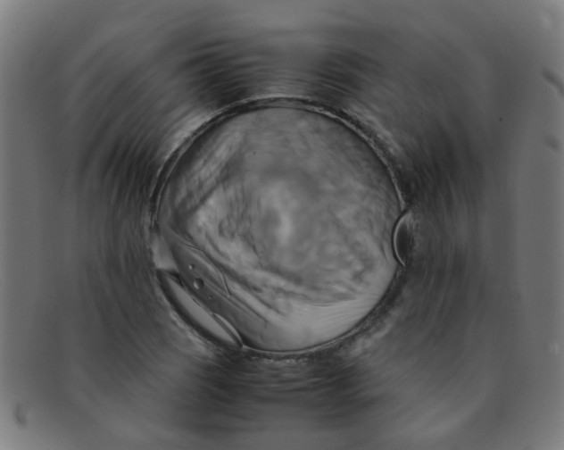 X0000091501121200709131845