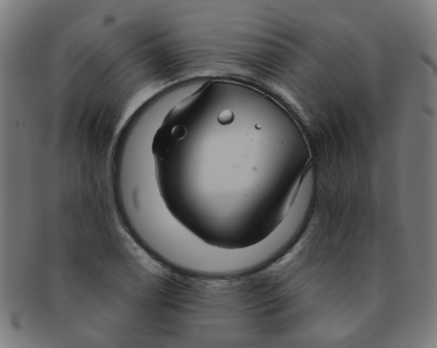 X0000091501122200709131845