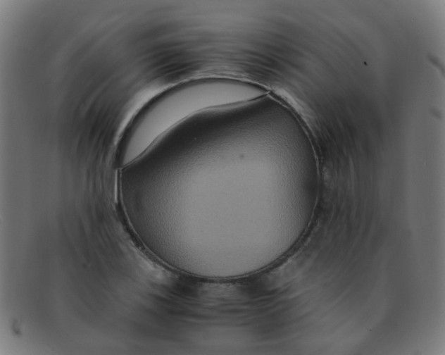 X0000091501123200709131845