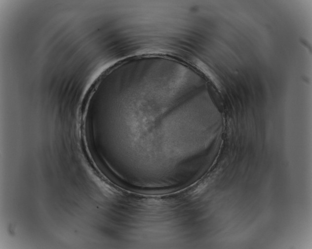 X0000091501124200709131845