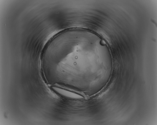 X0000091501125200709131845