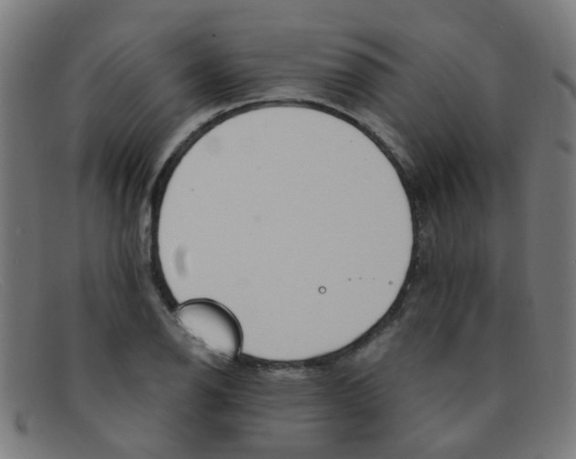 X0000091501126200709131845