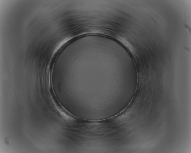 X0000091501127200709131845