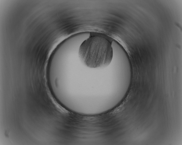 X0000091501128200709131845