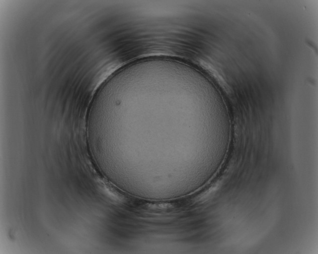 X0000091501129200709131845