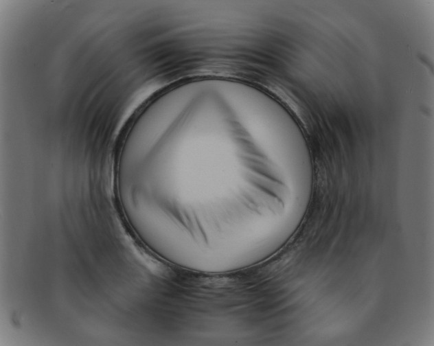 X0000091501131200709131845