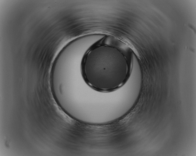 X0000091501132200709131845