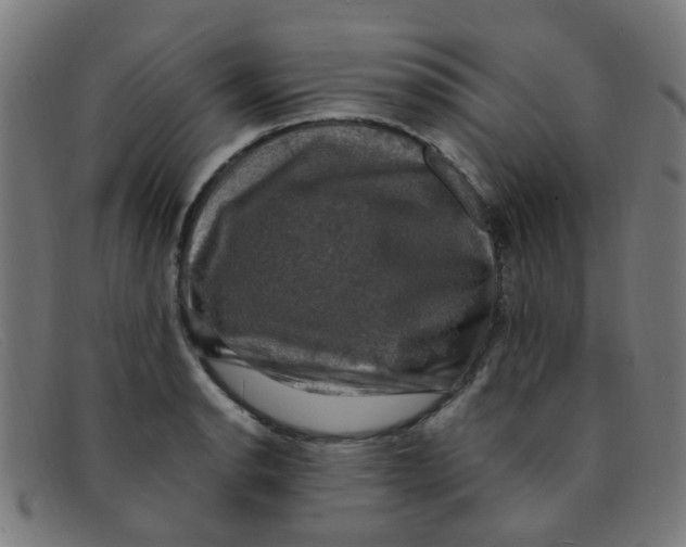 X0000091501134200709131845