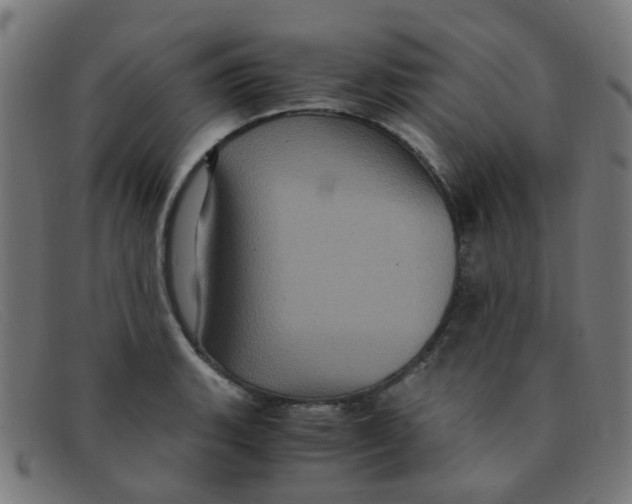 X0000091501135200709131845