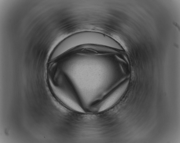 X0000091501136200709131845