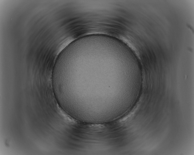 X0000091501137200709131845