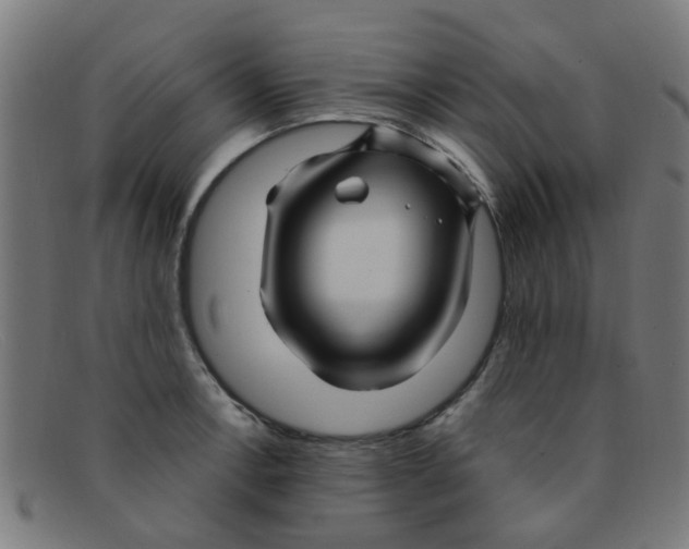 X0000091501138200709131845