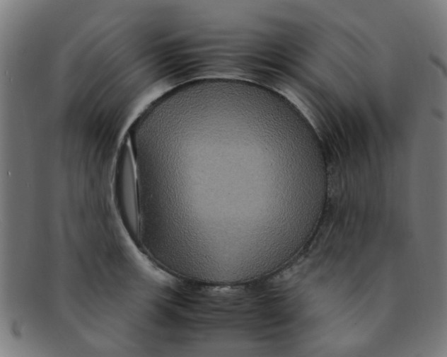 X0000091501139200709131845