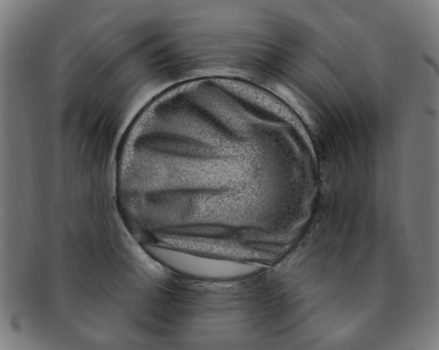 X0000091501140200709131845
