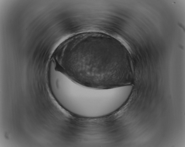 X0000091501142200709131845