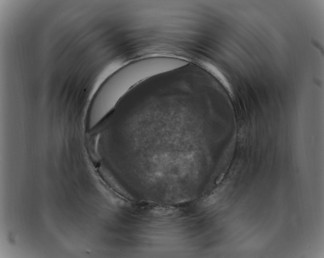 X0000091501146200709131845