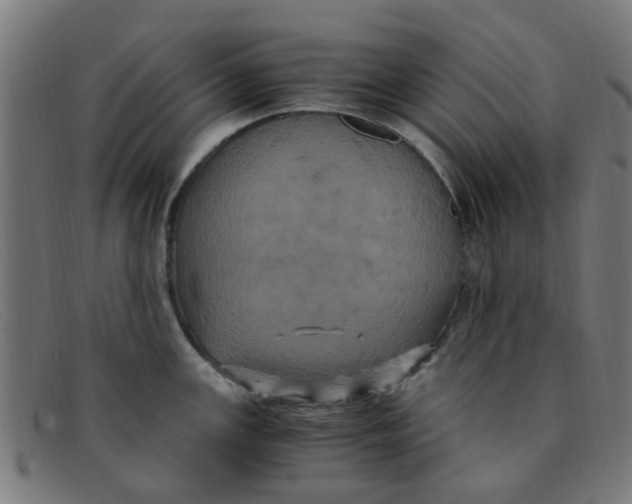 X0000091501147200709131845