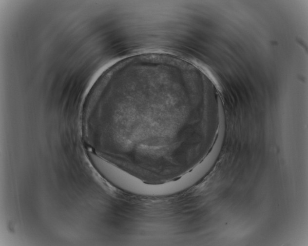 X0000091501148200709131845