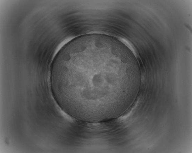 X0000091501149200709131845